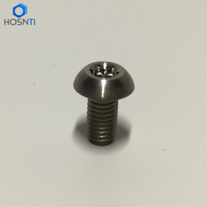 disc roter torx titanium bolt