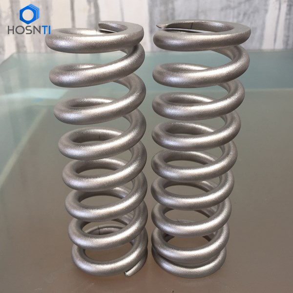 Motorcycle Titanium Shock Springs