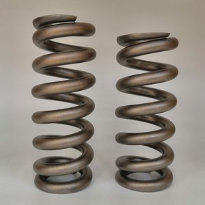 Titanium Springs