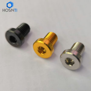 M6x1.0x12mm thin head titanium bolts