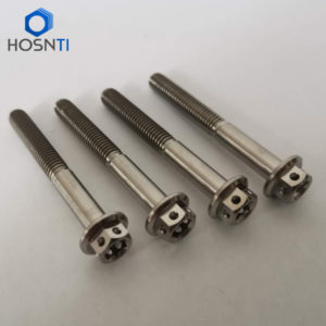 Hex Flange Titanium Bolts M6X50