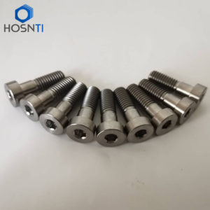 customized hex socket cylinder head titanium fasteners