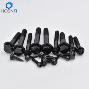 black PVD titanium bolts