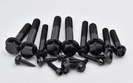 black PVD titanium bolts