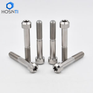 torx cylindrical head titanium bolts