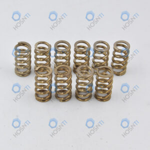 Motorcycle Titanium Clutch springs